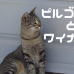 ピルゴス村