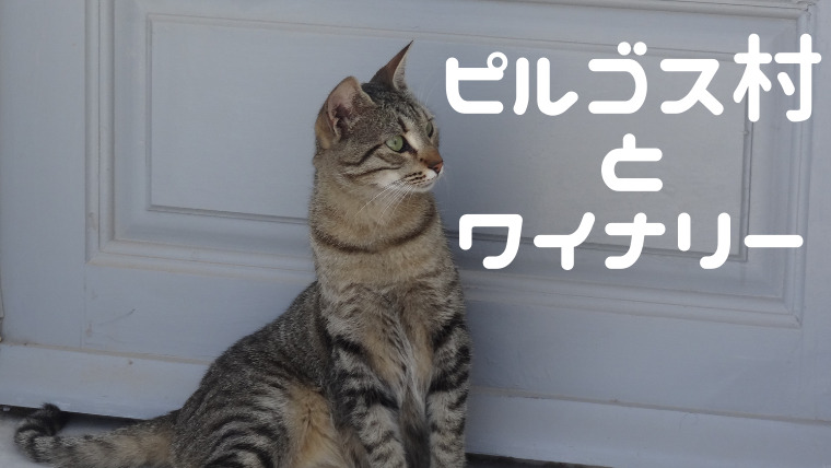 ピルゴス村
